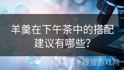 羊羹在下午茶中的搭配建议有哪些？