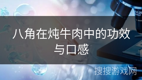 八角在炖牛肉中的功效与口感