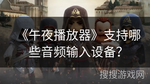 《午夜播放器》支持哪些音频输入设备？