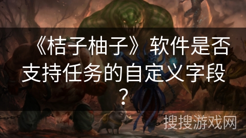 《桔子柚子》软件是否支持任务的自定义字段？