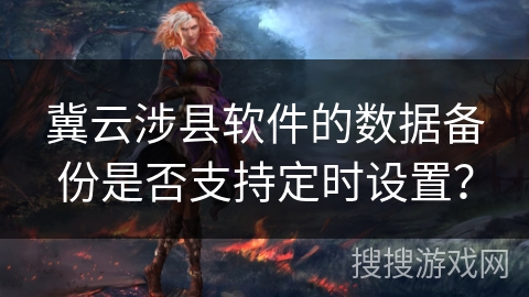 冀云涉县软件的数据备份是否支持定时设置？