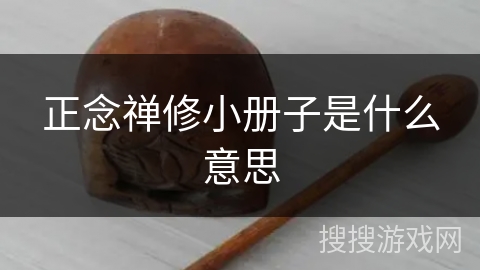 正念禅修小册子是什么意思 正念禅修小册子是什么意思