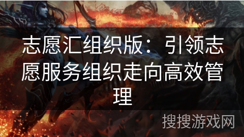 志愿汇组织版：引领志愿服务组织走向高效管理