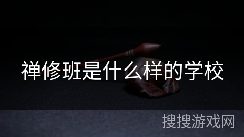 禅修班是什么样的学校
