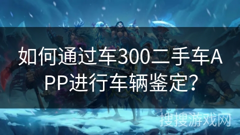 如何通过车300二手车APP进行车辆鉴定？