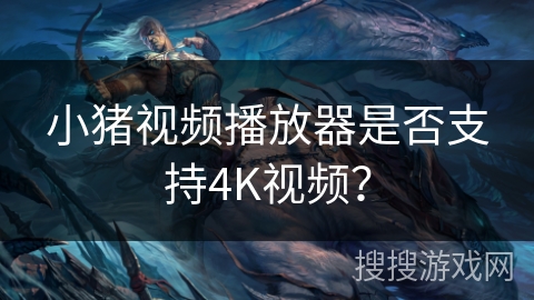 小猪视频播放器是否支持4K视频? 小猪视频播放器是否支持4K视频?