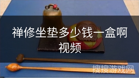 禅修坐垫多少钱一盒啊视频