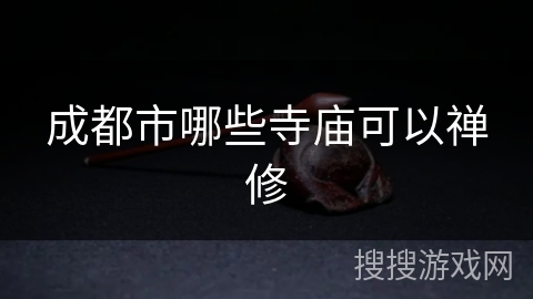 成都市哪些寺庙可以禅修 成都市哪些寺庙可以禅修