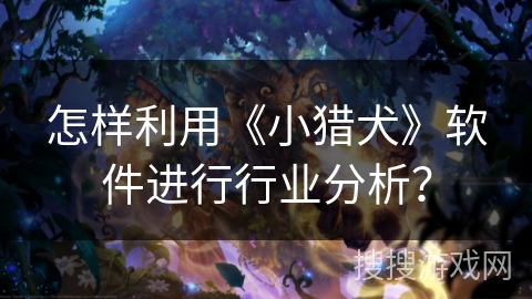 怎样利用《小猎犬》软件进行行业分析？