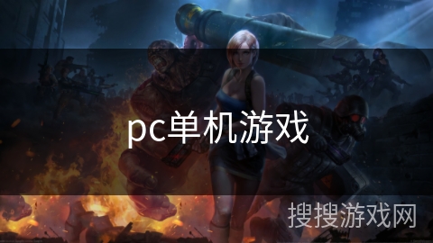 pc单机游戏