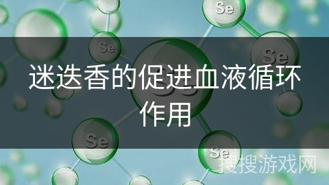 迷迭香的促进血液循环作用