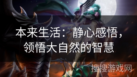 本来生活：静心感悟，领悟大自然的智慧