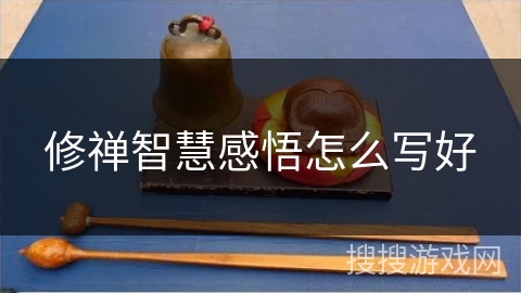 修禅智慧感悟怎么写好