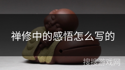 禅修中的感悟怎么写的