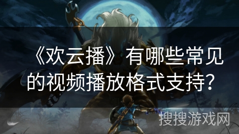 《欢云播》有哪些常见的视频播放格式支持? 《欢云播》有哪些常见的视频播放格式支持?
