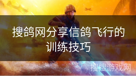 搜鸽网分享信鸽飞行的训练技巧