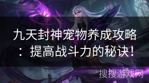 九天封神宠物养成攻略：提高战斗力的秘诀！