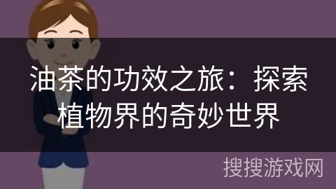 油茶的功效之旅：探索植物界的奇妙世界