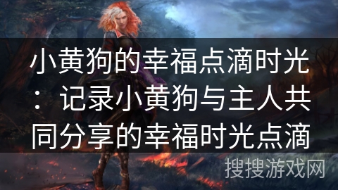 小黄狗的幸福点滴时光：记录小黄狗与主人共同分享的幸福时光点滴
