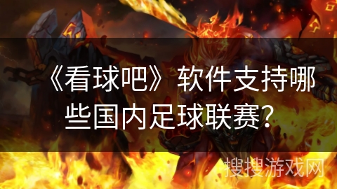 《看球吧》软件支持哪些国内足球联赛？