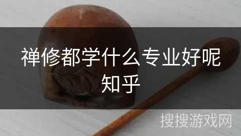 禅修都学什么专业好呢知乎