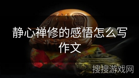 静心禅修的感悟怎么写作文