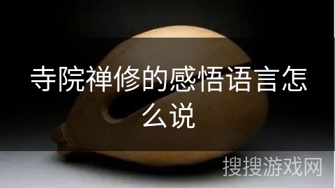 寺院禅修的感悟语言怎么说 寺院禅修的感悟语言怎么说