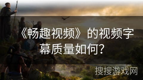 《畅趣视频》的视频字幕质量如何？