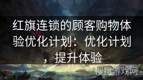红旗连锁的顾客购物体验优化计划：优化计划，提升体验