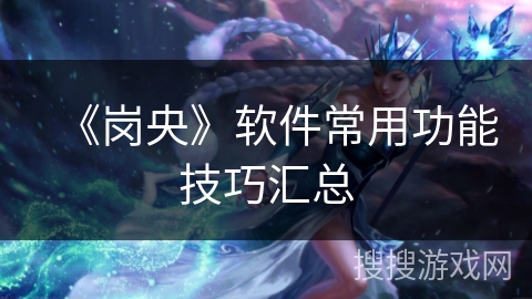 《岗央》软件常用功能技巧汇总