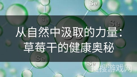 从自然中汲取的力量：草莓干的健康奥秘