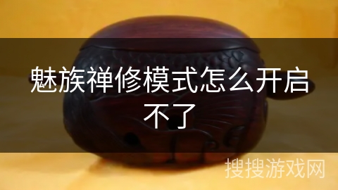 魅族禅修模式怎么开启不了