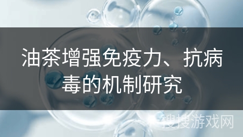 油茶增强免疫力、抗病毒的机制研究