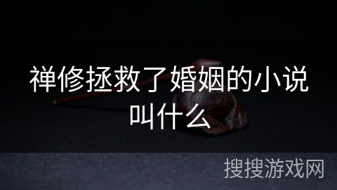 禅修拯救了婚姻的小说叫什么
