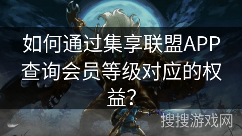 如何通过集享联盟APP查询会员等级对应的权益？