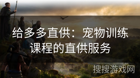 给多多直供：宠物训练课程的直供服务