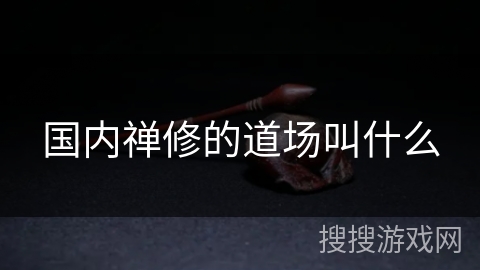 国内禅修的道场叫什么