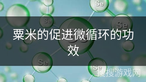 粟米的促进微循环的功效