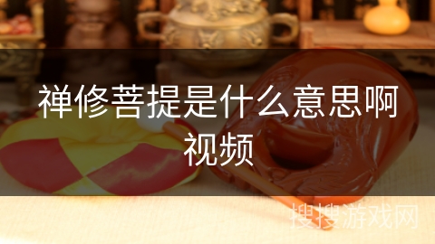 禅修菩提是什么意思啊视频