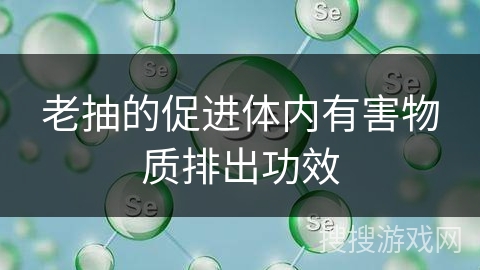 老抽的促进体内有害物质排出功效