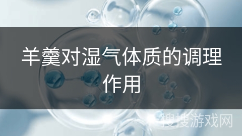 羊羹对湿气体质的调理作用