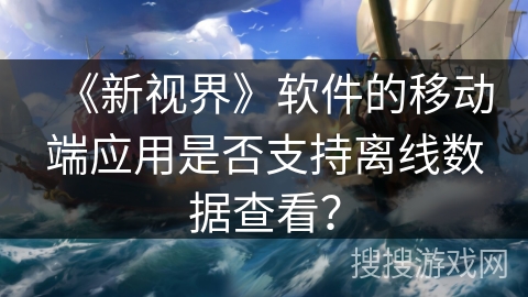 《新视界》软件的移动端应用是否支持离线数据查看？