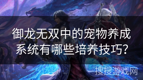 御龙无双中的宠物养成系统有哪些培养技巧？
