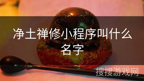 净土禅修小程序叫什么名字