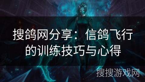 搜鸽网分享：信鸽飞行的训练技巧与心得