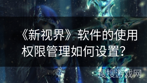《新视界》软件的使用权限管理如何设置？