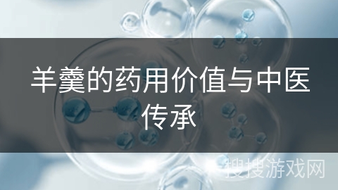 羊羹的药用价值与中医传承