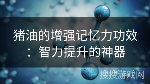 猪油的增强记忆力功效：智力提升的神器