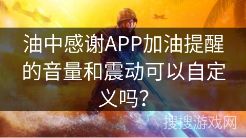 油中感谢APP加油提醒的音量和震动可以自定义吗？
