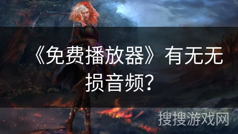 《免费播放器》有无无损音频？